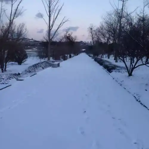 元宵最佳美景下雪的蓬莱阁美到仿佛穿越