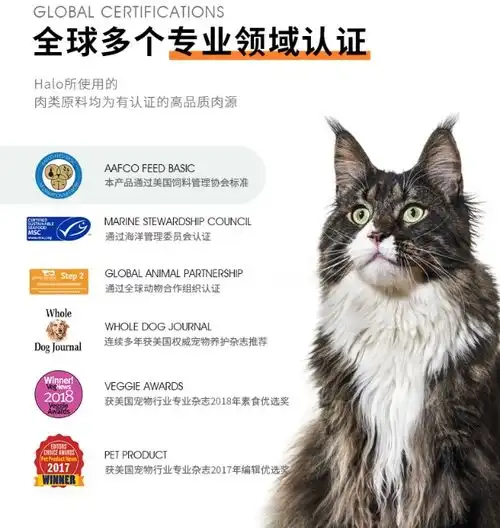 宣导科学养宠,halo自然光环助力宠物主打破伪氪金式养宠