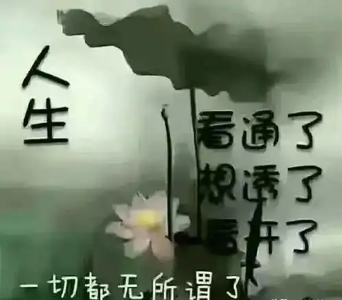 看透了,想透了,看开了