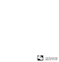 中医药传统文化之总结篇
