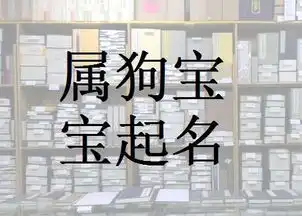 可爱狗宝宝起名推荐侯姓名字