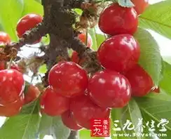 张柏芝交老外新欢揭秘张柏芝的护肤4点心得