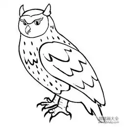 小鸟简笔画猫头鹰简笔画图片