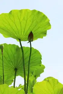 img0409.jpg弌抹阳光