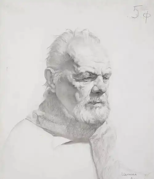 俄罗斯高中生的素描作品,你看怎么样