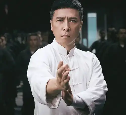 甄子丹改写影史,自导自演好莱坞大片,将全面超越成龙