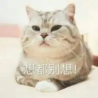 2018微信头像最火大全微信头像图片大全
