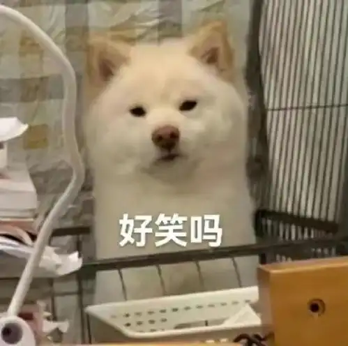 在毕业典礼上和校长求婚,校长不仅同意了,还喊我老公