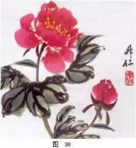 怎样画牡丹史上最全的画法