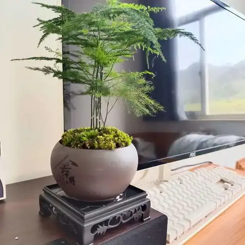 测试一个超长简介的文章