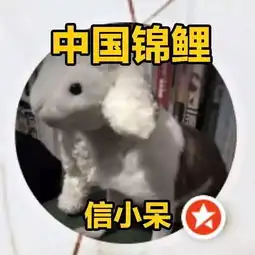 支付宝到底送了一亿少女多少钱这笔钱小编算清了中国锦鲤现真身了,竟然说...