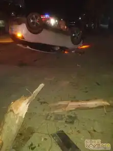 测试一个超长简介的文章