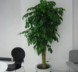 装修时这个地方千万别贴瓷砖,才住进半年就准备拆掉刷漆,真后悔