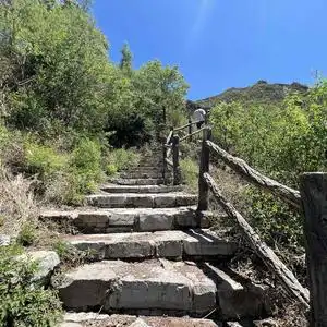 测试一个超长简介的文章