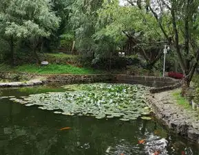 2019上关花景区门票,喜洲上关花景区游玩攻略,上关花景区游览攻略路线地址门票价格