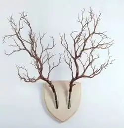 捡完树叶捡树枝,秋天可真好玩呀