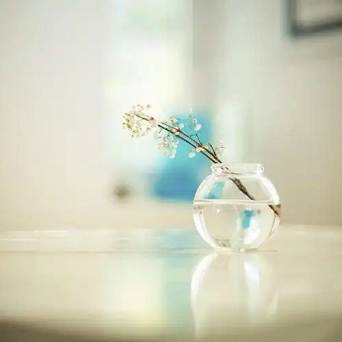 12月2531好运爆棚,财库大开,财源滚滚腰缠万贯,事业财运双丰收的生肖