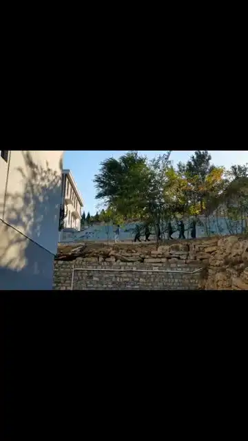当代大学生的沙雕日常