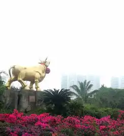 坐环岛动车边走边玩谁说来海南一定要看海