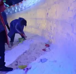 只要39块9一票通玩奥地利小镇冰雪王国快来实现冰雪奇缘吧