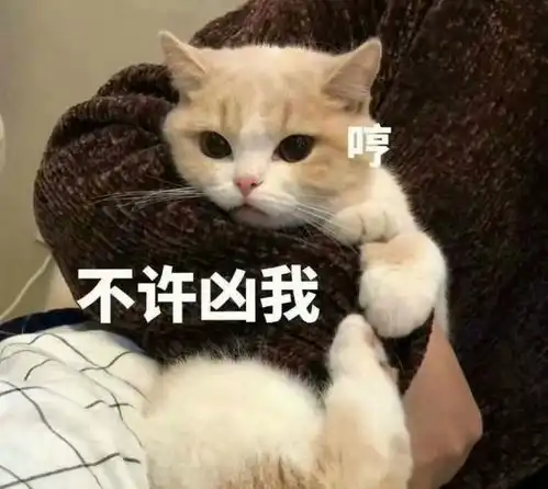 20个令人捧腹的搞笑句子