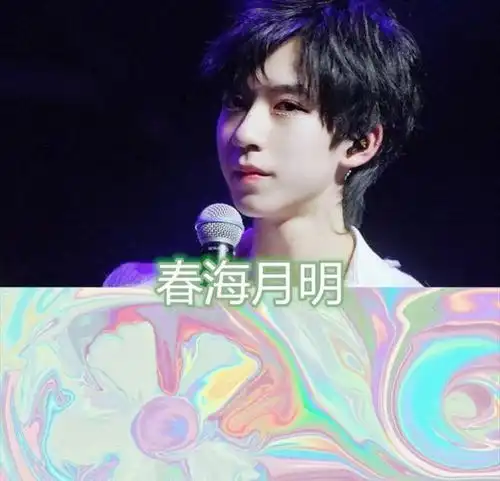 贺峻霖的应援色是什么