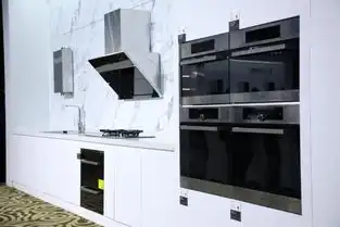 探秘水槽洗碗机黑科技央视专题聚焦方太创新