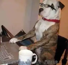 装的跟个人似的