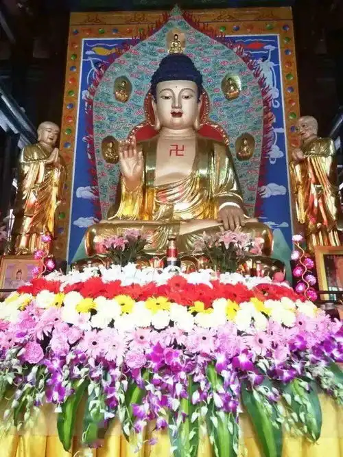 测试一个超长简介的文章