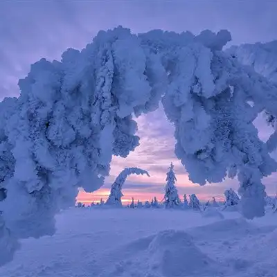 唯美雪景头像,美丽的冬季风光雪景太陶醉了