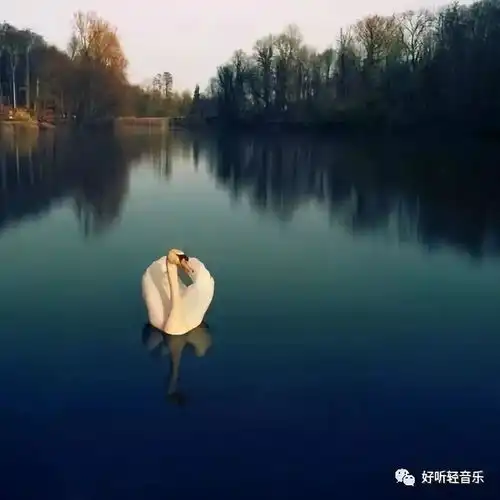 优美动听的舒伯特小夜曲