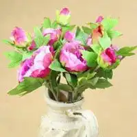 牡丹花头像微信头像图片大全