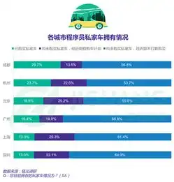 极光大数据2018年中国程序员研究报告