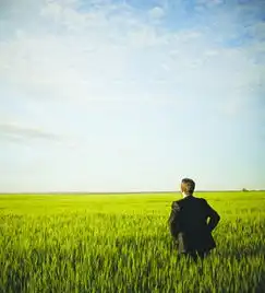 getty图片2012荒野中求生2013麦田里守望