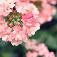 2019最火爆风景微信头像微信头像图片大全