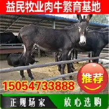 驴养殖前景价格驴养殖前景批发驴养殖前景厂家hc360慧聪网