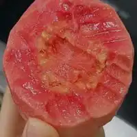 测试一个超长简介的文章