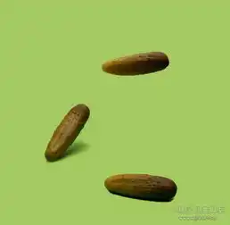 美国各州13个荒诞的法律