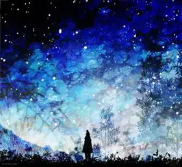 谁有类似下面的图片就是夜晚星空的