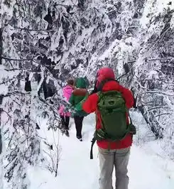 北国童话,冰雪奇缘喀纳斯7日之旅