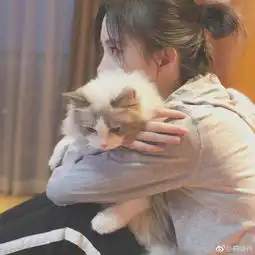 鞠婧祎穿着家居服抱爱猫合影妆容精致侧颜迷人