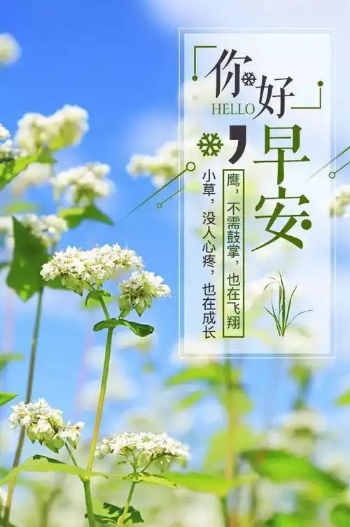 一个人的行动,决定一个人的未来,早安