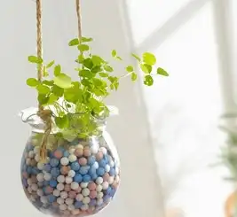 职场风水办公室摆这些植物准没错