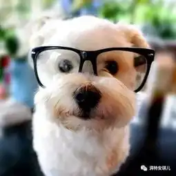 皮肤问题对应的营养素,这下知道该怎么做了