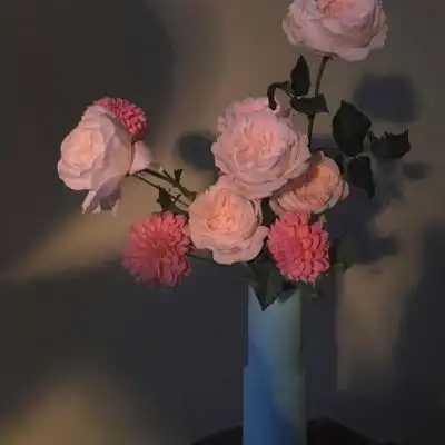 测试一个超长简介的文章
