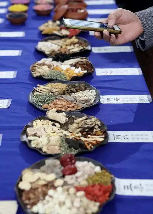 中共云南省委云南省人民政府印发关于促进中医药传承创新发展的实施意见