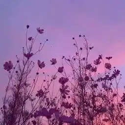 朋友圈背景图
