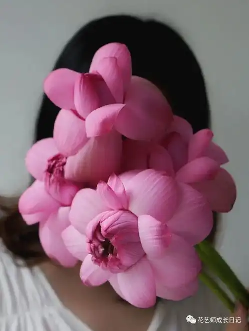 花艺奇思妙想vol.21让夏日荷花盛开出另一种美好