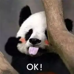滚滚滚滚滚滚