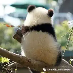 那个想自杀的朋友,去了一趟菜场竟然活过来了